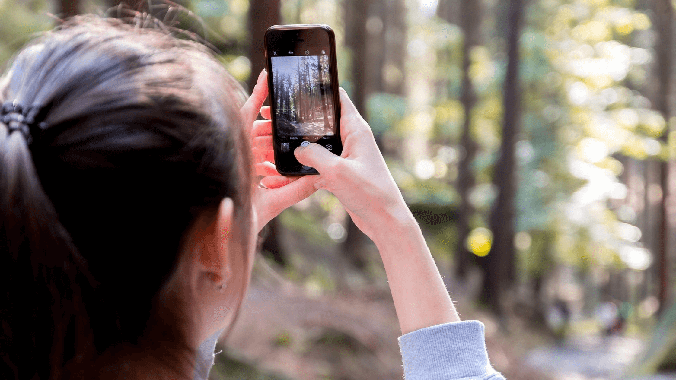 Smartphone im Wald
