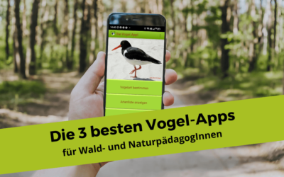 Die 3 besten Vogel-Apps für Wald- und NaturpädagogInnen