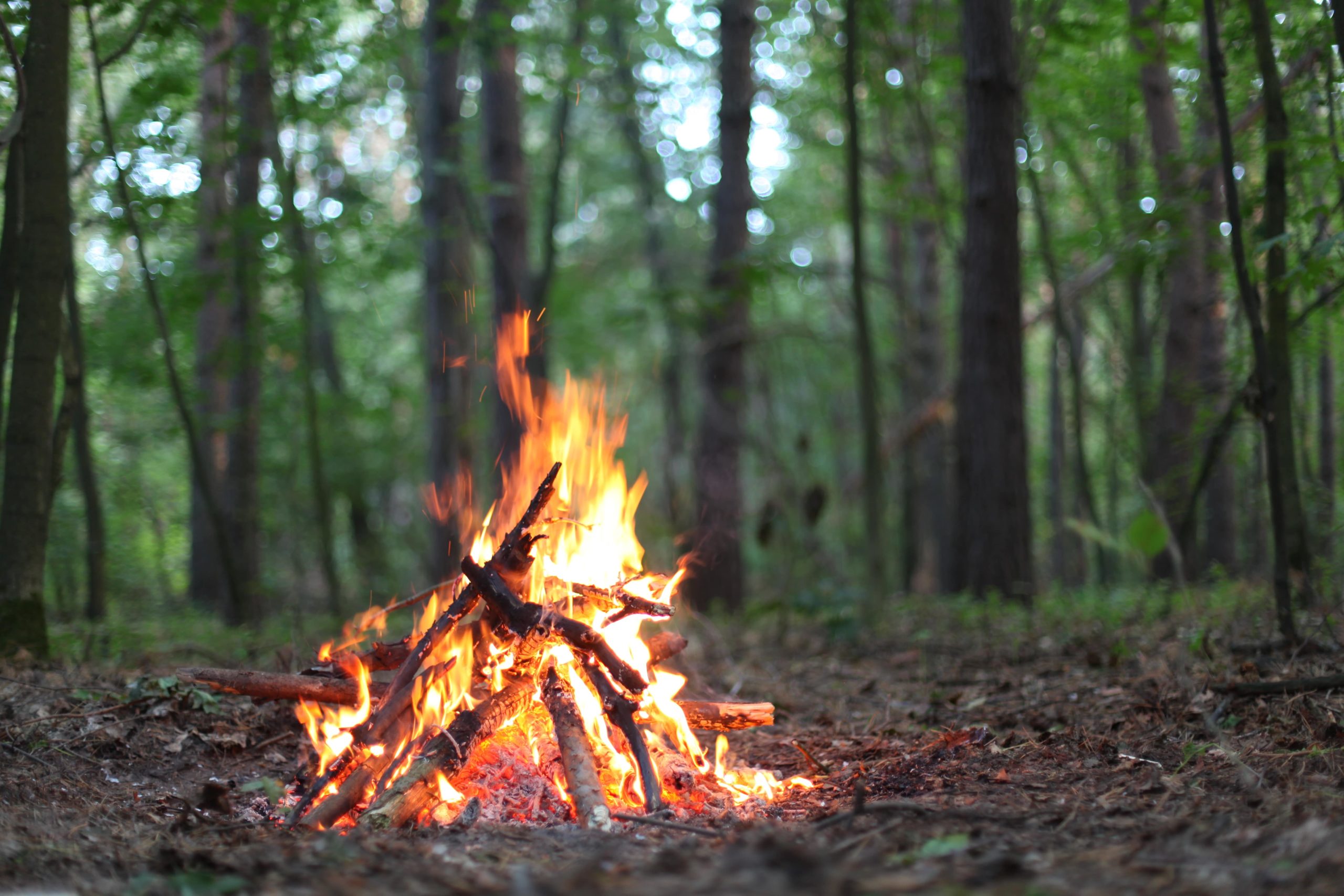 Lagerfeuer im Wald