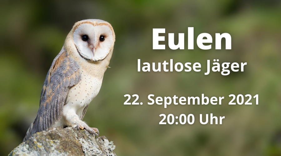 Eulen Kurs
