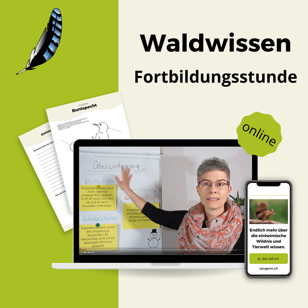 Fortbildungsstunde