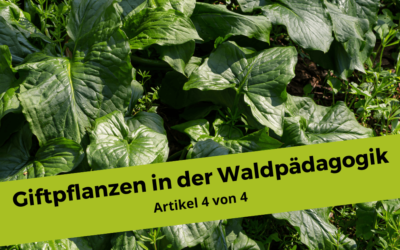 Giftpflanzen im und um den Wald 4/4 – Verwechslungsgefahr: Essbare Wildpflanzen und ihre giftigen Doppelgänger