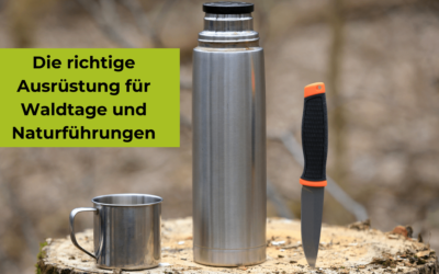 Nützliche Materialien und Ausrüstung für Waldtage