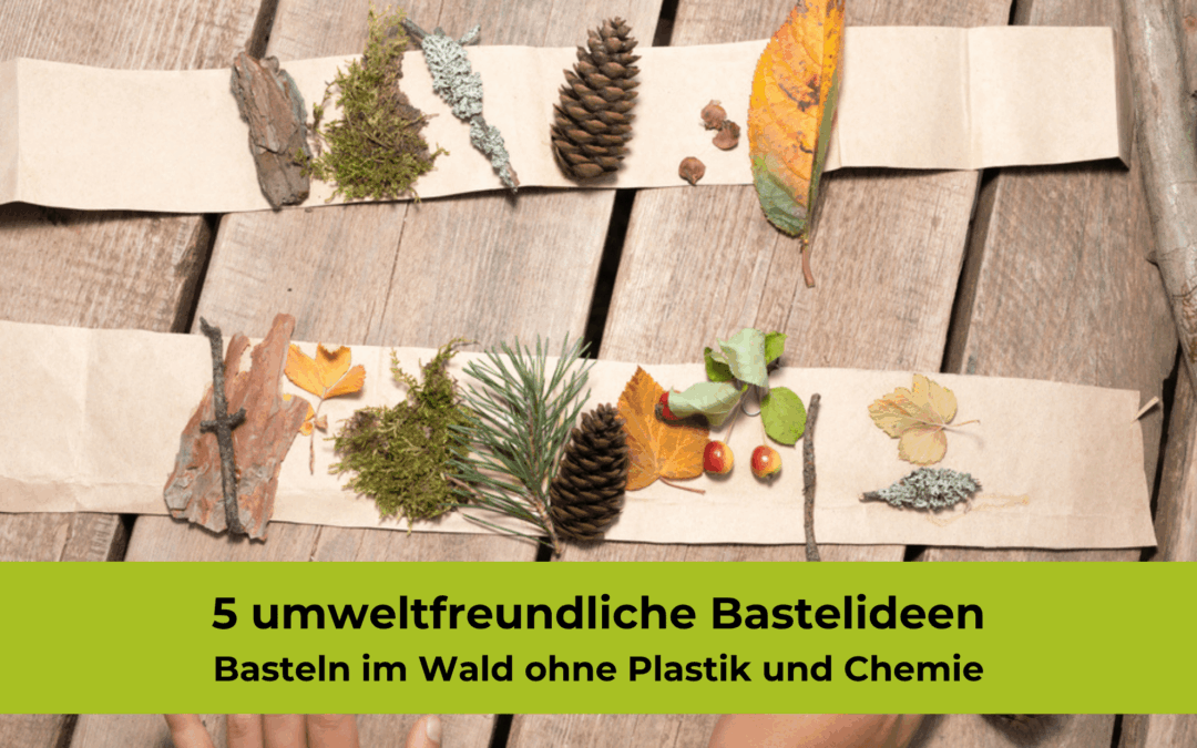 Basteln im Wald – 5 einfache und umweltfreundliche Ideen, die ohne Chemie und Plastik auskommen