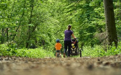 Wenn das erste Buch entsteht oder mit Kindern spielend den Wald entdecken