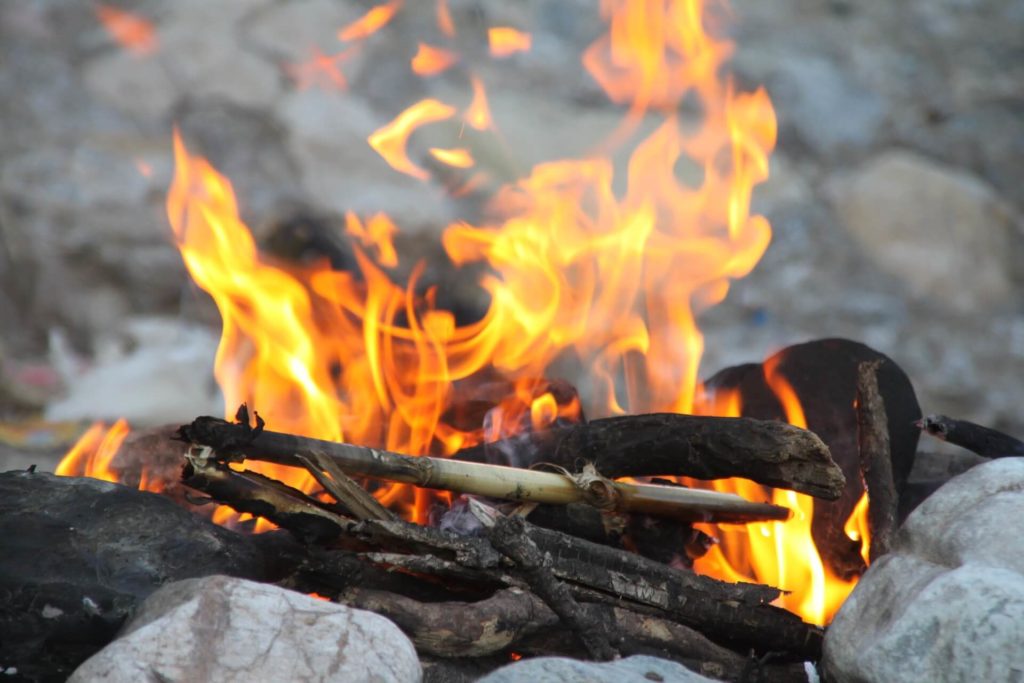 Bild zeigt ein Feuer im Wald.