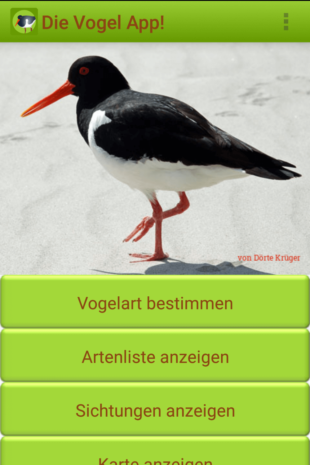 Apps zur Vogelbestimmung 3