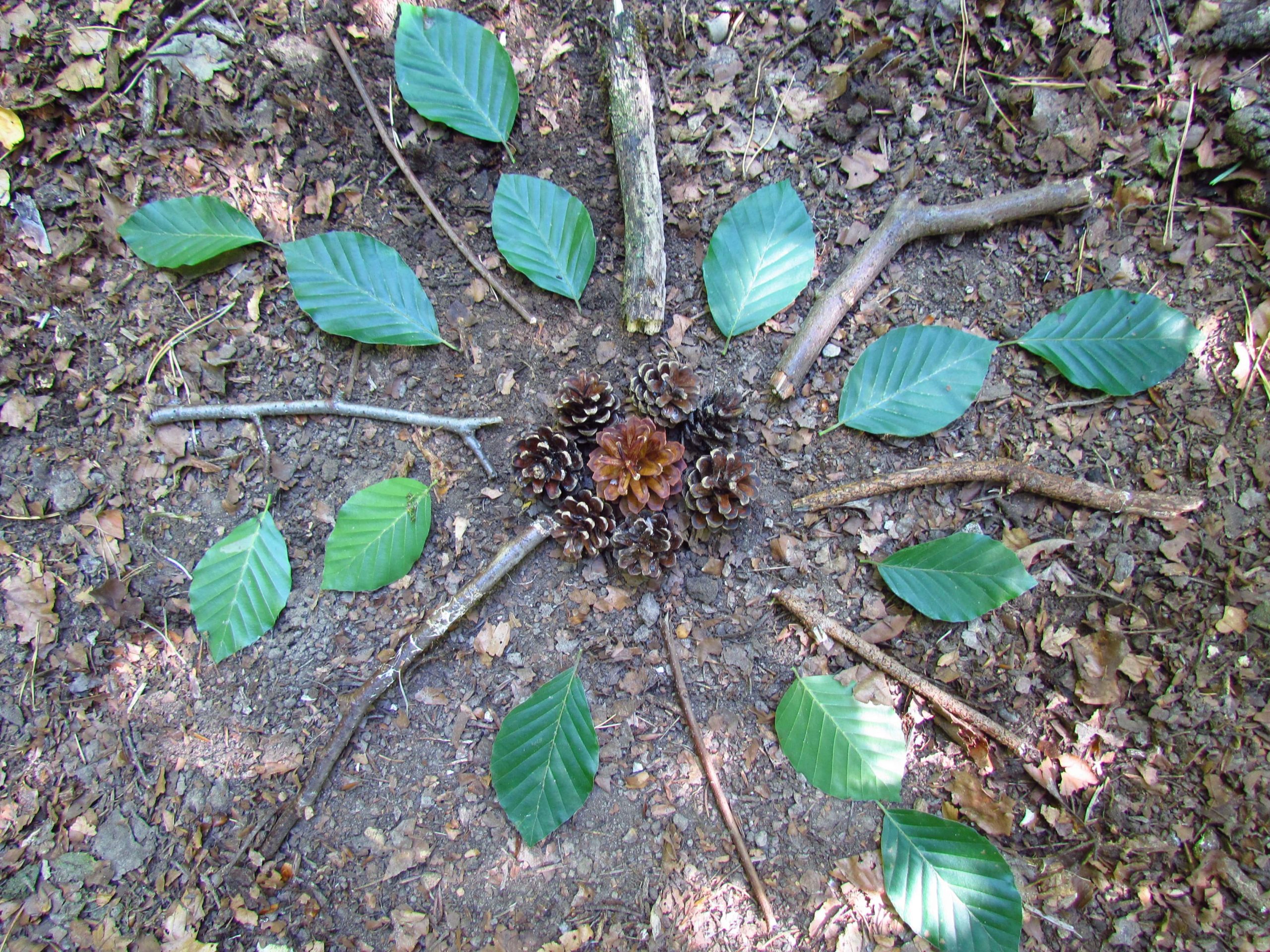 Mandala im Wald Mit Naturmaterialen ein Mandala legen.