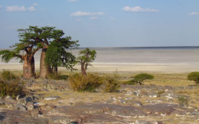 Einmal südliches Afrika und zurück – Teil 1