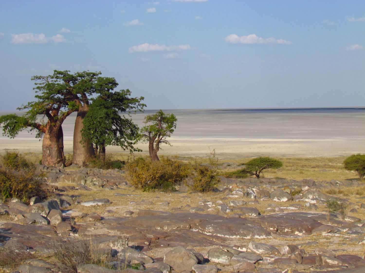 Lekhubu Island