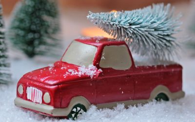 Wann ist ein Christbaum wirklich Bio?