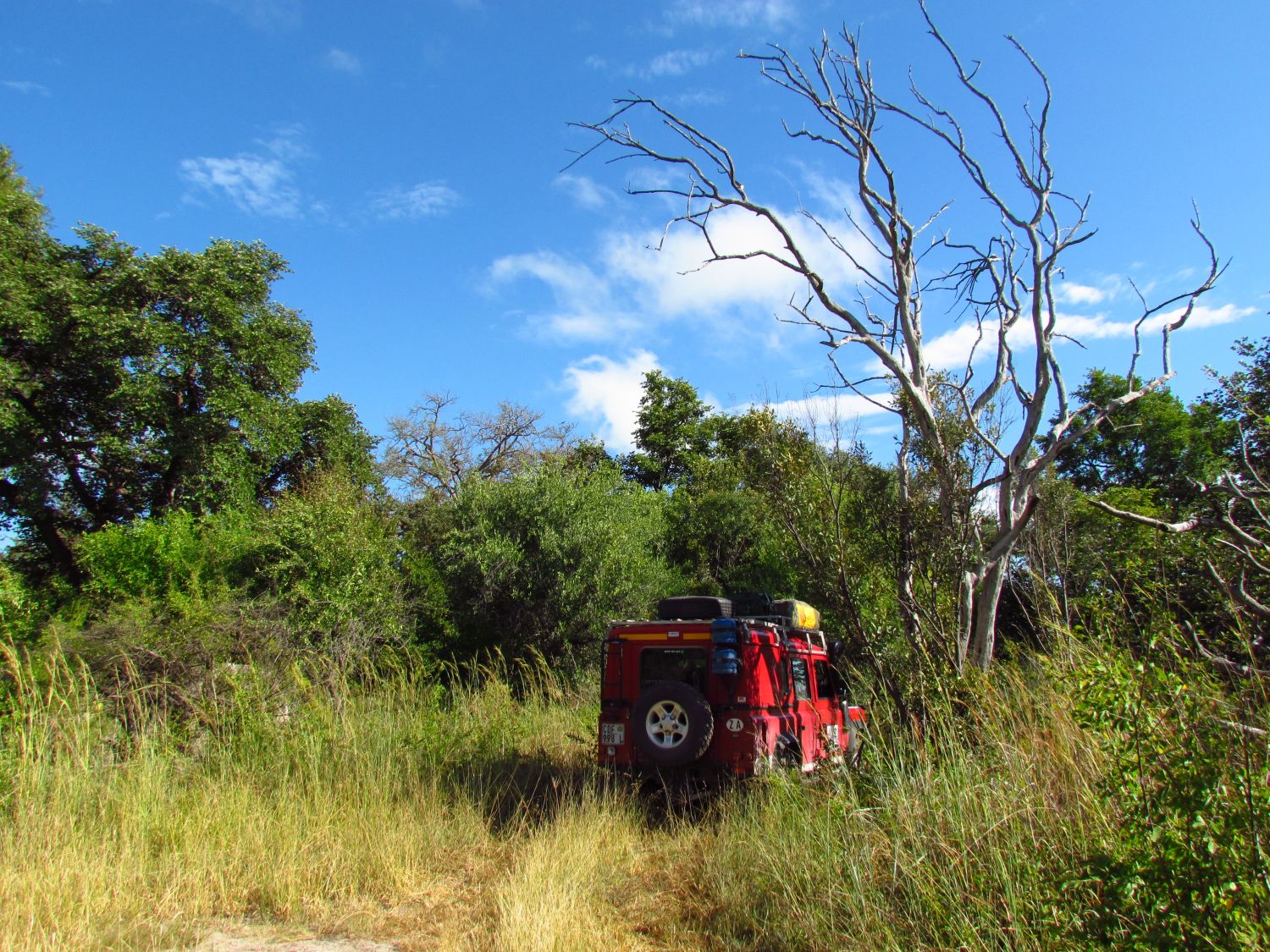 Chobe Nationalpark