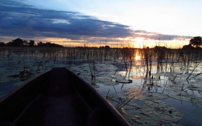 Einmal südliches Afrika und zurück – Teil 2