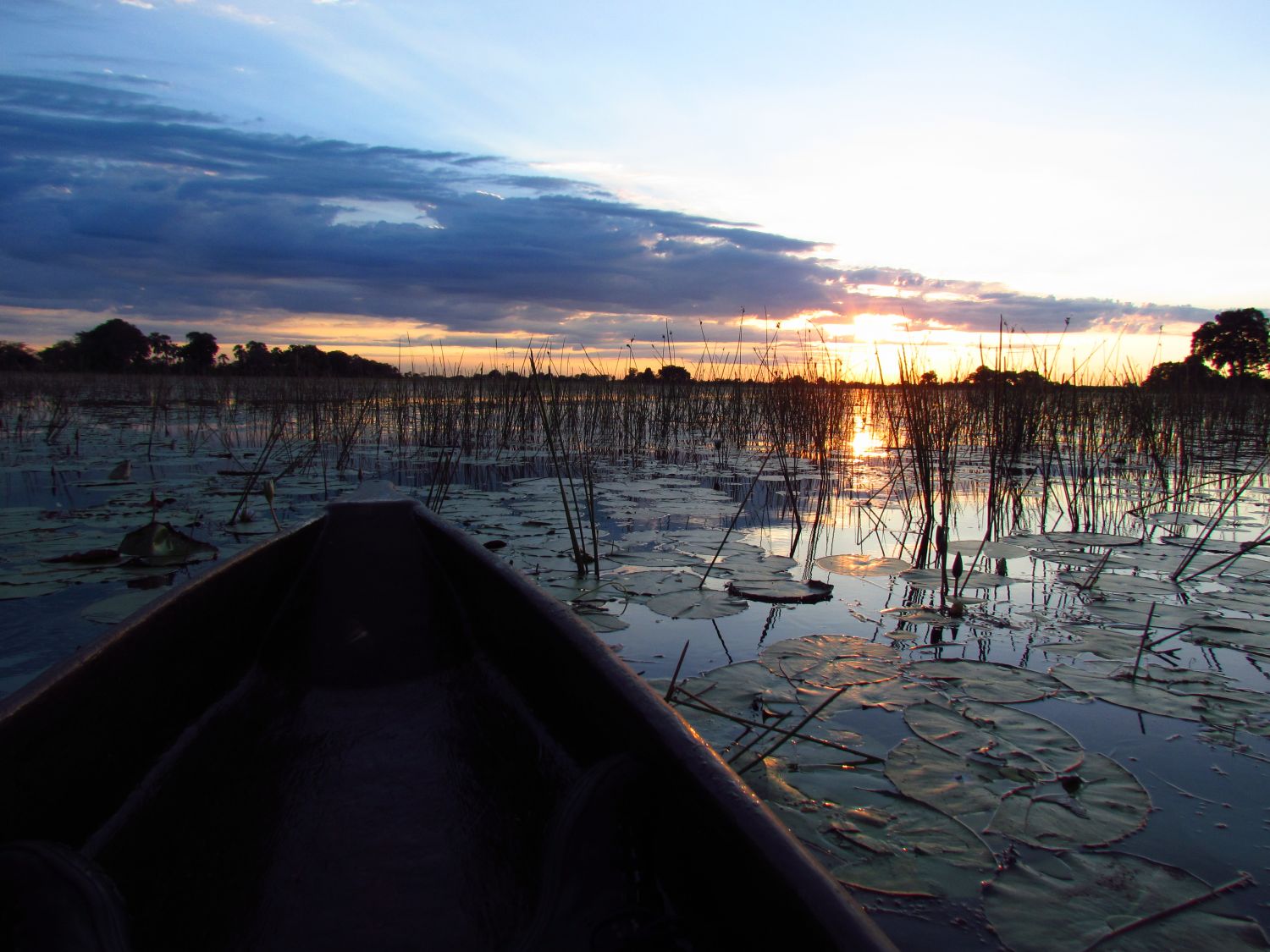 Sonnenaufgang im Okavangodelta