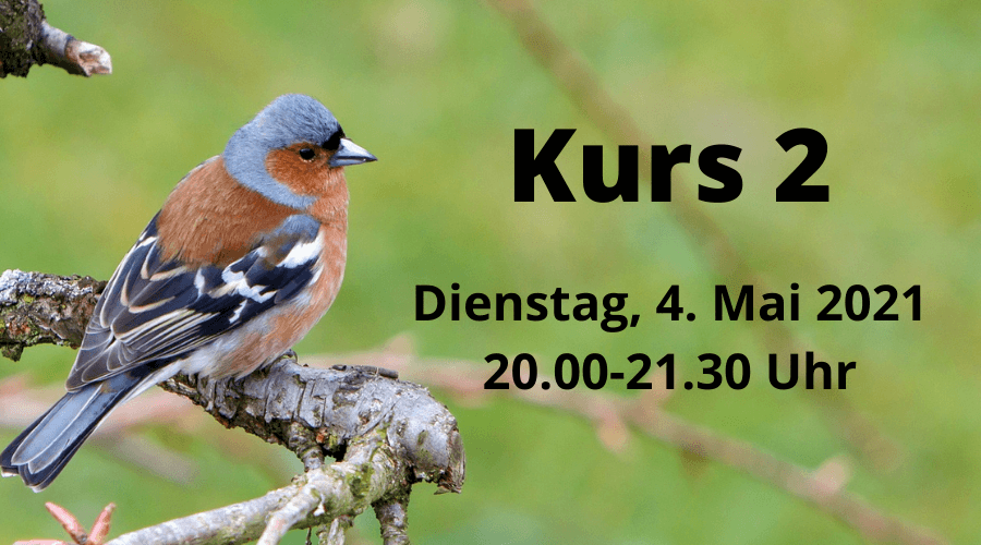 Kurs 2