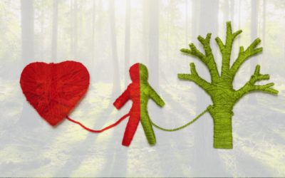 Der Rote Faden in deiner Waldführung oder Naturführung – oder warum es Sinn macht mit Themen zu arbeiten