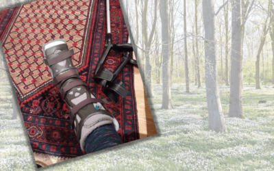 Quartalsrückblick Januar-März 2023: Neues Jahr – neues Glück