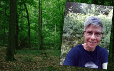 Quartalsrückblick April-Juni 2023 – Ein neuer Alltag