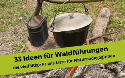 33 Ideen für Waldführungen: Die vielfältige Praxis-Liste für NaturpädagogInnen