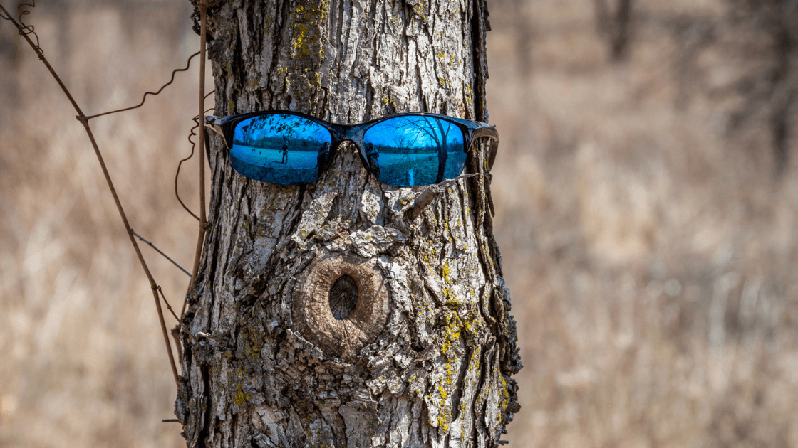 Die 7 amüsantesten Fragen über Bäume, die mir schon gestellt wurden