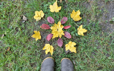 Quartalsrückblick Oktober-Dezember 2023 – Rasanter Jahresabschluss