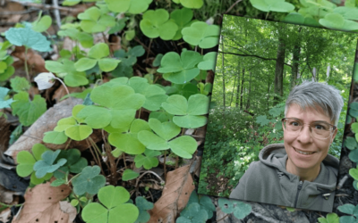 Frühlingsrückblick 2024 – viel Neues 🌷