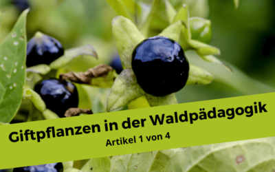 Giftpflanzen im und um den Wald 1/4 – Warum du als Naturpädagogin unbedingt Giftpflanzen kennen solltest
