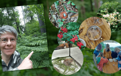 Sommerrückblick 2024 – zwischen Krankheiten und Dauerregen