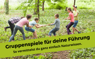 3 konkrete Gruppenspiele für deine Waldführungen mit denen du elegant Naturwissen vermittelst