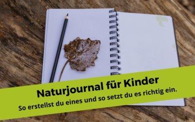 Naturjournal für Kinder – 4 einfache Tipps, wie du selbst eines erstellst und es richtig auf deinen Waldführungen einsetzt