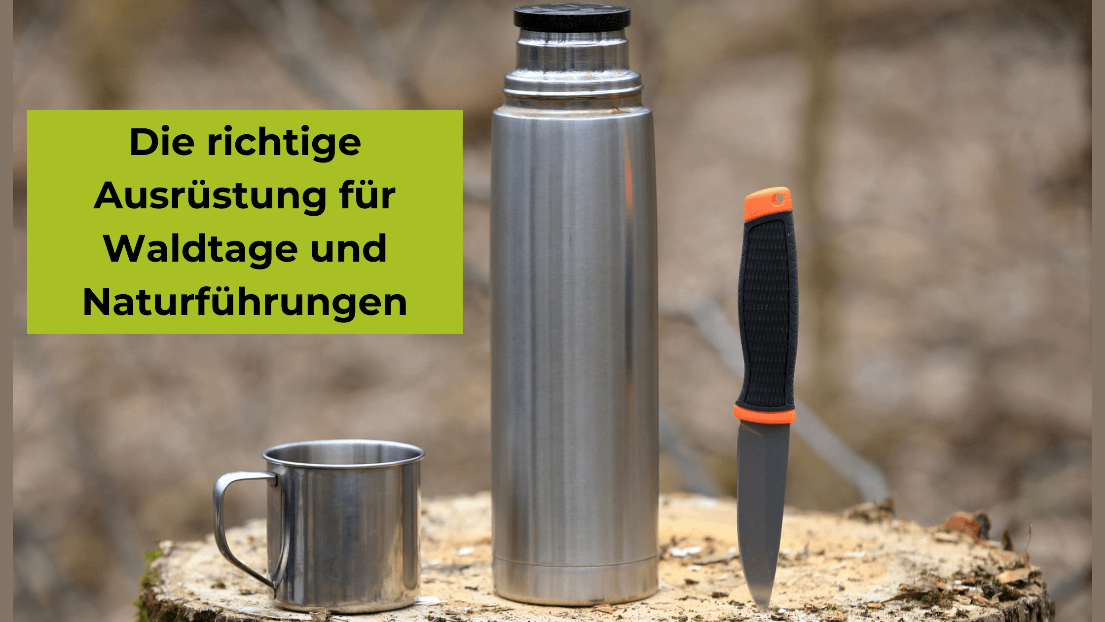 Ausrüstungsliste Waldpädagogik