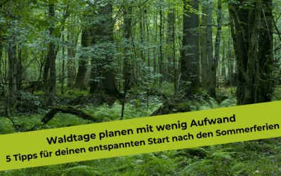 Waldtage planen mit wenig Aufwand – 5 Tipps für deinen entspannten Start nach den Sommerferien