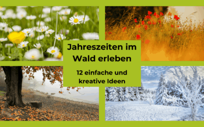 Jahreszeiten im Wald erleben – 12 einfache und kreative Ideen, nicht nur für Schulklassen