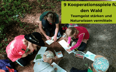 9 Kooperationsspiele für den Wald, die den Teamgeist stärken und Naturwissen vermitteln