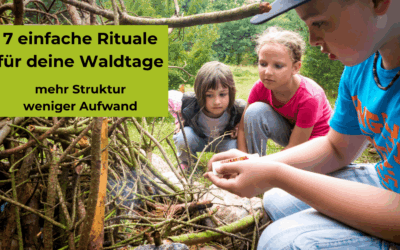 7 einfache Rituale für gelungene Waldtage – Struktur ohne Aufwand