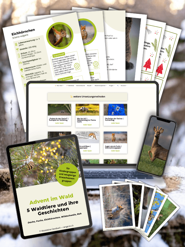 Wald Bibliothek für Waldpädagogik