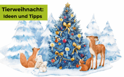 Tierweihnacht im Wald: Fundierte Ideen und einfache Methoden für WaldpädagogInnen