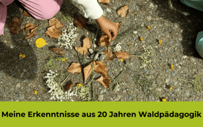5 Dinge, die ich nach 20 Jahren als Waldpädagogin nicht mehr mache
