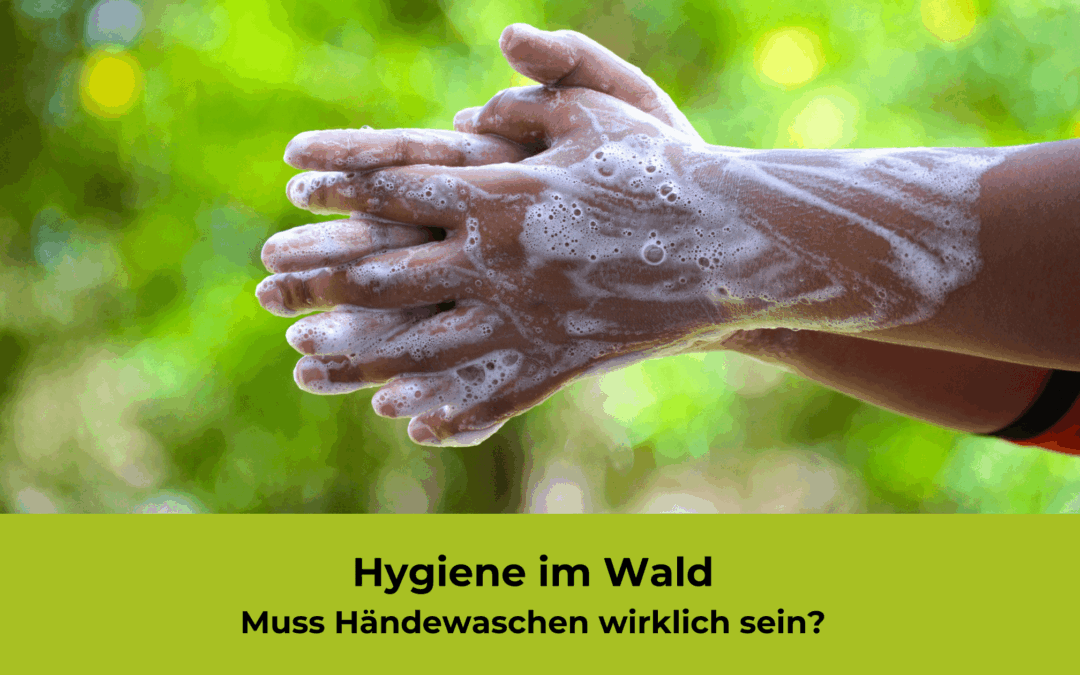 Händewaschen im Wald: So gelingt Hygiene auf Waldtagen und Führungen