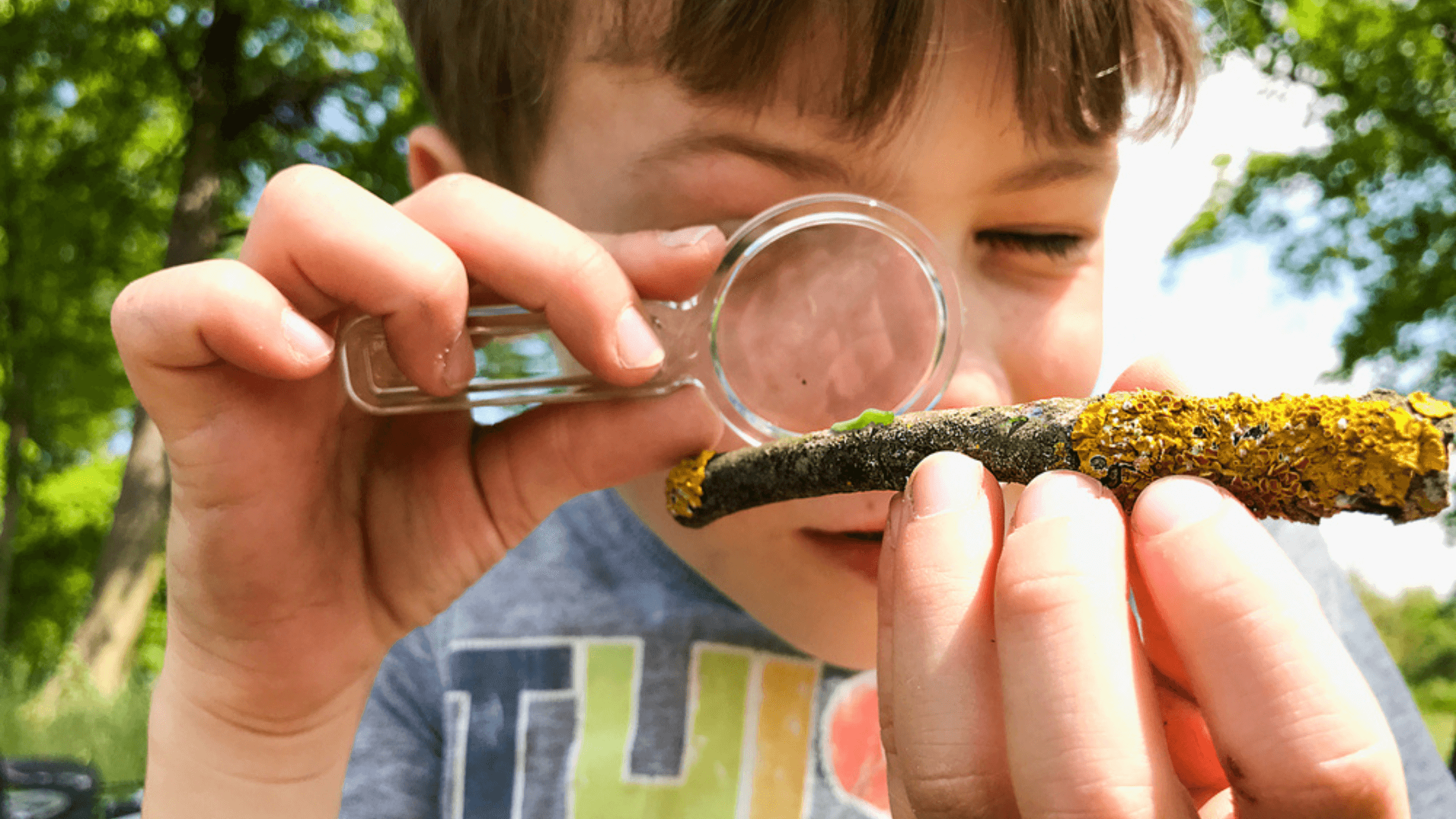 Waldpädagogik Grundlagen