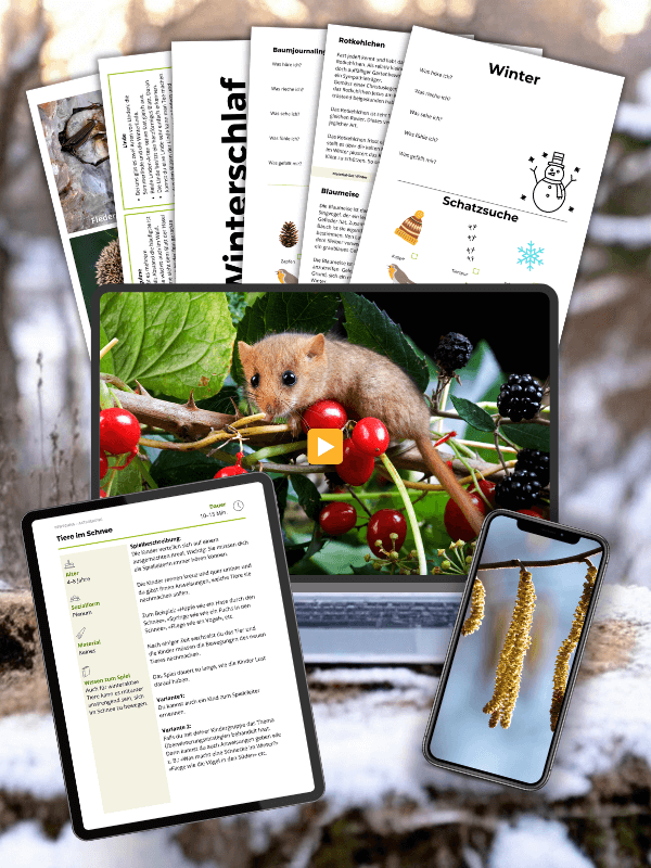 Wald Bibliothek für Waldpädagogik